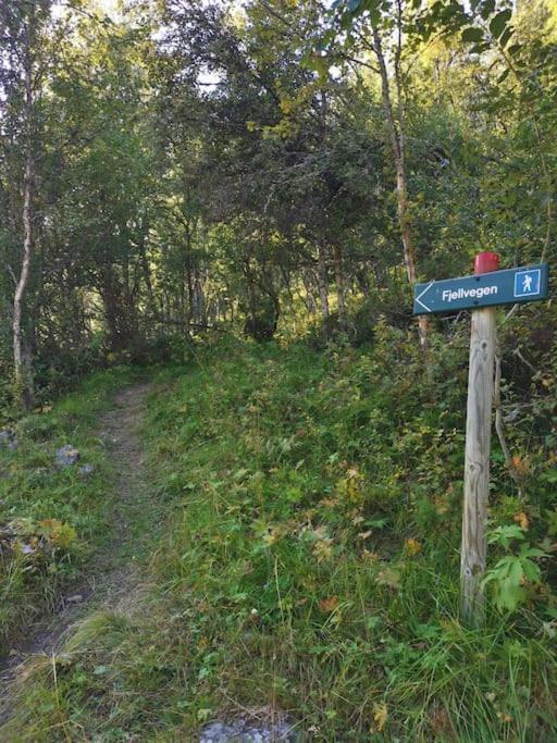 Na Er Vinteren Kommet Til Hallingdal オール エクステリア 写真
