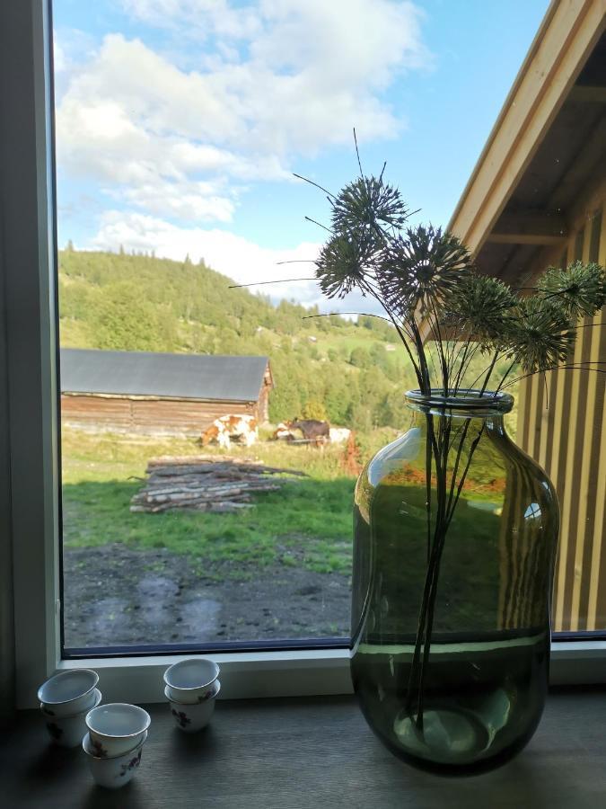 Na Er Vinteren Kommet Til Hallingdal オール エクステリア 写真