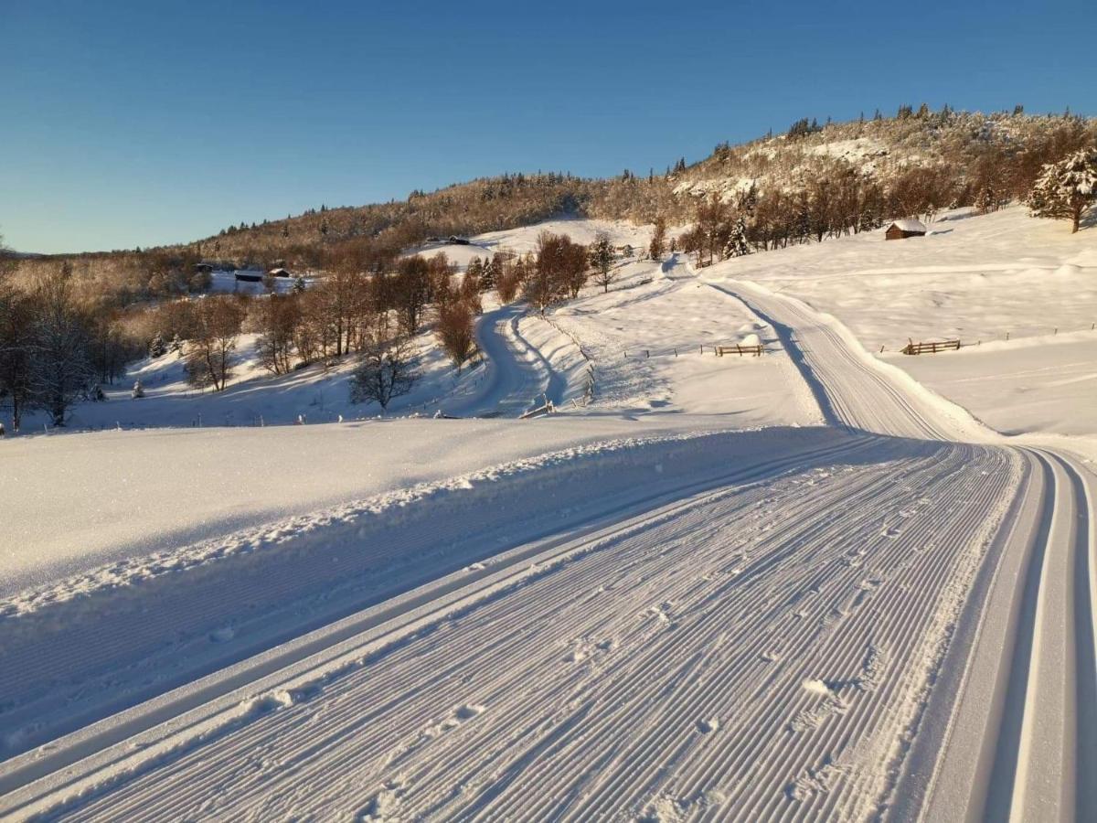 Na Er Vinteren Kommet Til Hallingdal オール エクステリア 写真