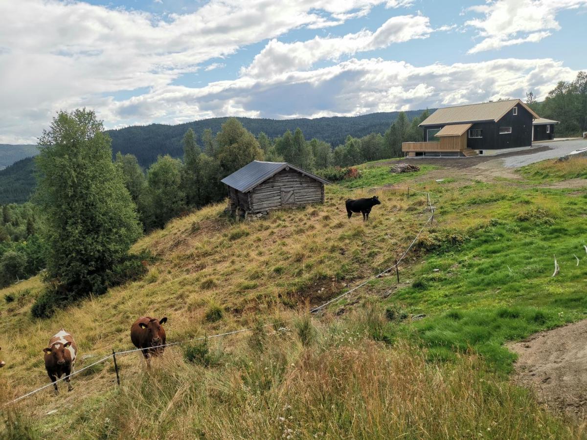 Na Er Vinteren Kommet Til Hallingdal オール エクステリア 写真