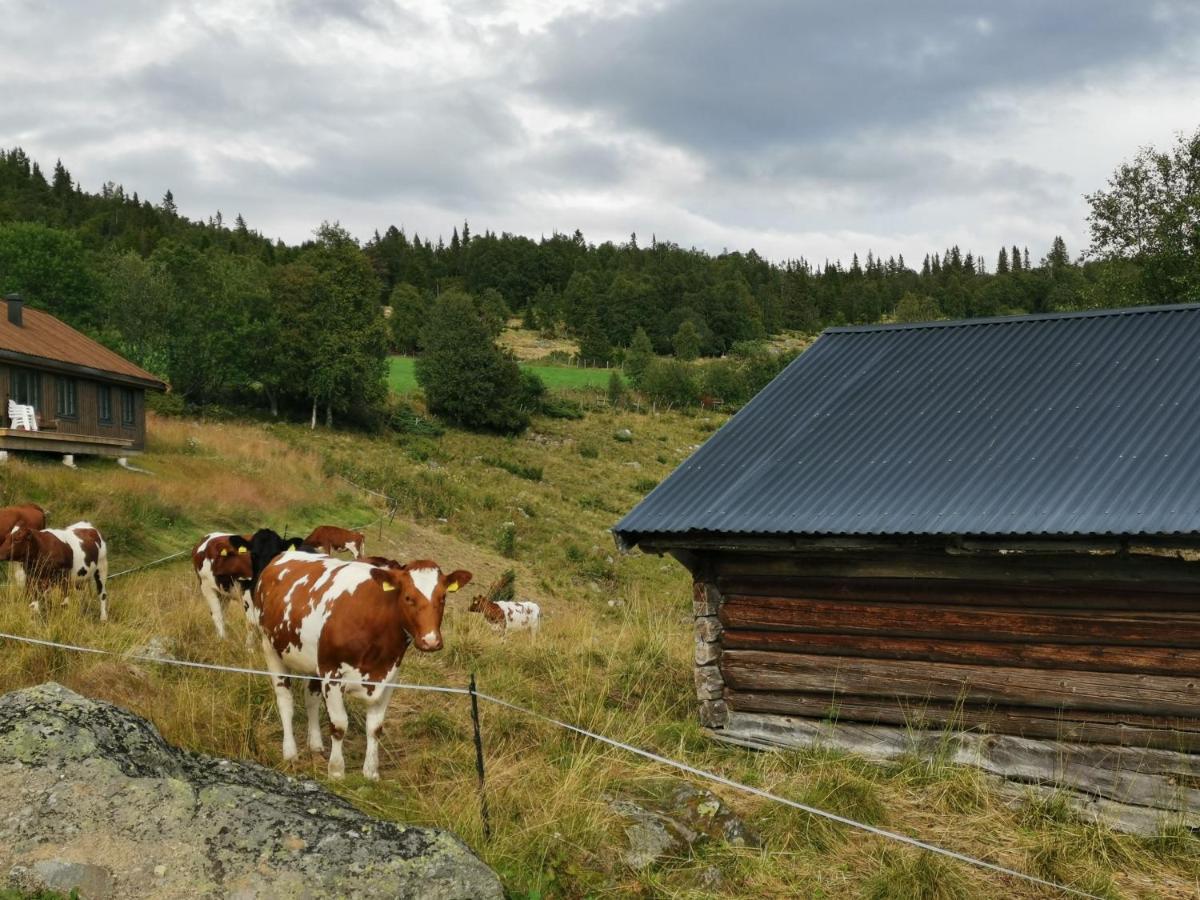 Na Er Vinteren Kommet Til Hallingdal オール エクステリア 写真